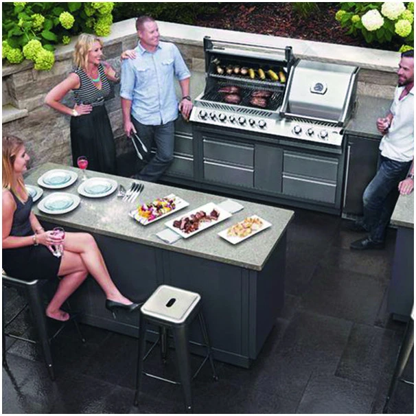 Napoleon Barbecue Gaz Encastrable Napoléon Prestige Pro 825 Inox 6 Brûleurs + 2 Rôtissoires 4 Napoleon Barbecue Gaz Encastrable Napoléon Prestige Pro 825 Inox 6 Brûleurs + 2 Rôtissoires – Image 2