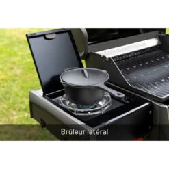 Napoleon Barbecue Gaz Napoléon Rogue 425 SBPK 3 Brûleurs + 1 Latéral 28 Napoleon Barbecue Gaz Napoléon Rogue 425 SBPK 3 Brûleurs + 1 Latéral -Barbecue Délices Promo barbecue gaz napoleon rogue r425 sb 6