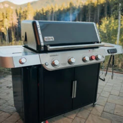 Barbecue Gaz Weber Genesis EX-435 4 Brûleurs 34 Barbecue Gaz Weber Genesis EX-435 4 Brûleurs -Barbecue Délices Promo barbecue gaz weber genesis ex 435 noir 4 bruleurs 14