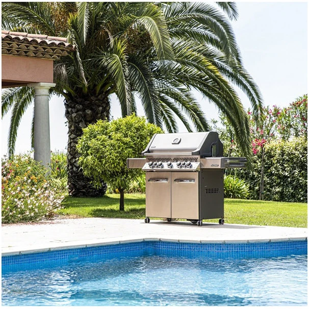 Napoleon Barbecue Gaz Napoléon Prestige 665 SIBPSS 5 Brûleurs + 1 Latéral + 1 Arrière 3 Napoleon Barbecue Gaz Napoléon Prestige 665 SIBPSS 5 Brûleurs + 1 Latéral + 1 Arrière