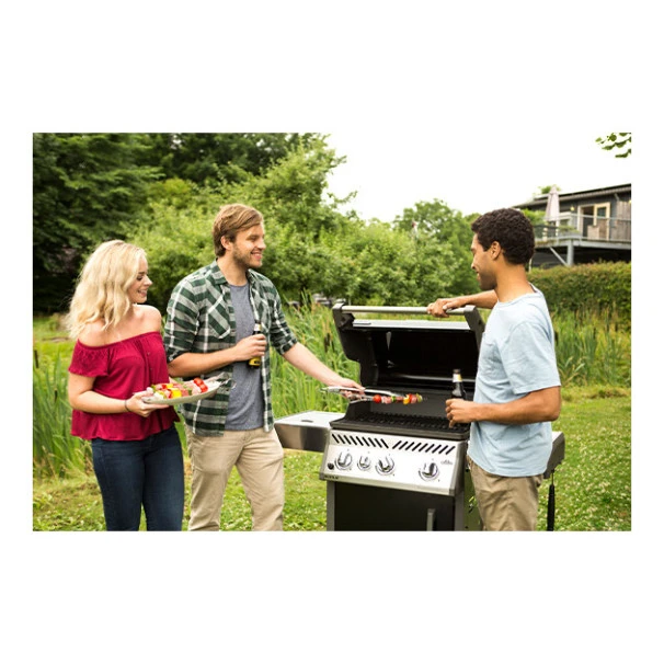 Napoleon Barbecue Gaz Napoléon Rogue SE 425 SIBPK 3 Brûleurs + 1 Latéral + 1 Arrière 3 Napoleon Barbecue Gaz Napoléon Rogue SE 425 SIBPK 3 Brûleurs + 1 Latéral + 1 Arrière