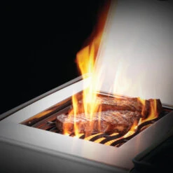 Napoleon Barbecue Gaz Napoléon Rogue SE 625 SIBPSS 5 Brûleurs + 1 Latéral + 1 Arrière 13 Napoleon Barbecue Gaz Napoléon Rogue SE 625 SIBPSS 5 Brûleurs + 1 Latéral + 1 Arrière -Barbecue Délices Promo bbq gaz napoleon rogue rse625 rsibpss inox bruleur arriere 3