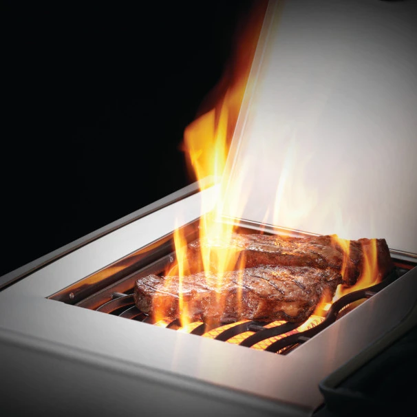 Napoleon Barbecue Gaz Napoléon Rogue SE 625 SIBPSS 5 Brûleurs + 1 Latéral + 1 Arrière 6 Napoleon Barbecue Gaz Napoléon Rogue SE 625 SIBPSS 5 Brûleurs + 1 Latéral + 1 Arrière – Image 4