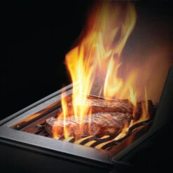 Napoleon Barbecue Gaz Napoléon Rogue XT 425 SIBPK 3 Brûleurs + 1 Latéral 22 Napoleon Barbecue Gaz Napoléon Rogue XT 425 SIBPK 3 Brûleurs + 1 Latéral -Barbecue Délices Promo bbq gaz napoleon rogue rxt425 sibpk 9