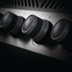 Napoleon Barbecue Gaz Napoléon Rogue XT 625 SIBPSS 5 Brûleurs + 1 Latéral 25 Napoleon Barbecue Gaz Napoléon Rogue XT 625 SIBPSS 5 Brûleurs + 1 Latéral -Barbecue Délices Promo bbq gaz napoleon rogue rxt625 sibpss inox 3