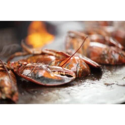 Braséro Plancha OFYR Classic 100 Acier Corten 33 Braséro Plancha OFYR Classic 100 Acier Corten -Barbecue Délices Promo brasero plancha ofyr classic 100 100 8