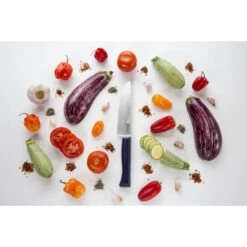 Couteau Opinel N°217 Petit Chef Intempora 9 Couteau Opinel N°217 Petit Chef Intempora -Barbecue Délices Promo couteau opinel n217 peit chef intempora 3