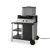 Ensemble Plancha électrique Le Marquier Allure 260 Inox 2 Feux Sur Desserte + Couvercle 1 Ensemble Plancha électrique Le Marquier Allure 260 Inox 2 Feux Sur Desserte + Couvercle -Barbecue Délices Promo plancha electrique fonte emaillee le marquier allure 260 inox 2 feux sur desserte allure duo couvercle